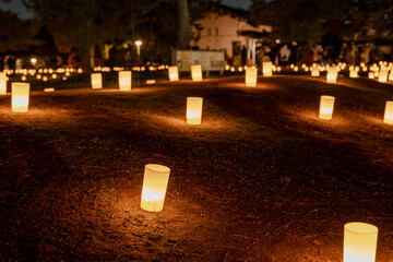 2025年1月 奈良県 なら燈花会