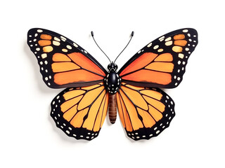 Dacha and Garden Icons logo A large orange butterfly with black wings. The wings are spread out