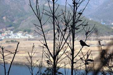 한국의 아름다운 강변 풍경
