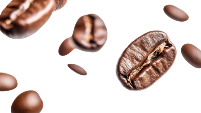 Coffee beans in mid-air showcasing different forms and textures highlighted by bright background