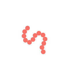 streptococcus pyogenes