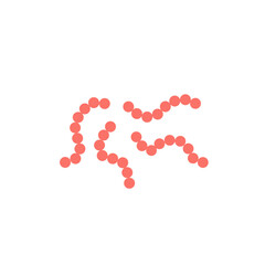 streptococcus pyogenes