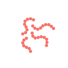 streptococcus pyogenes