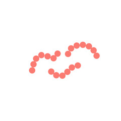 streptococcus pyogenes