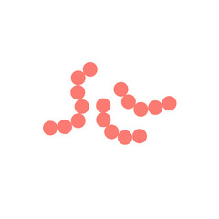 streptococcus pyogenes