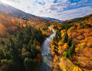 Generated image　秋の川沿いのハイキングコース