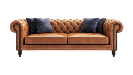 Luxurious leather sofa with button tufting and decorative cushions in elegant living room setting