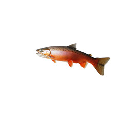 Trout fish swimming gracefully in water, showcasing vibrant colors and patterns