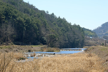 한국의 봄 풍경