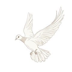 Obraz premium An elegant, modern graphic illustration of a white dove in flight, transparent background, PNG