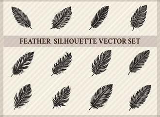 Feather Design Elegant and Delicate Feather Illustrations for Creative Projects