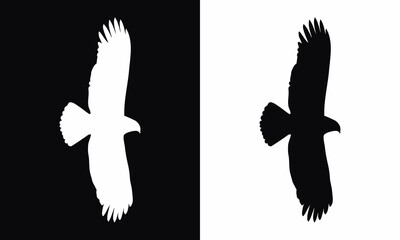 A vector eagle image design.
