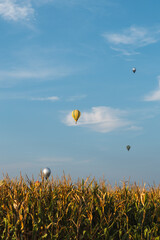 Colorful hot air balloons flying over wheat field