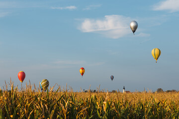 Colorful hot air balloons flying over wheat field