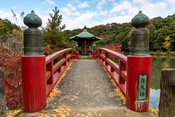 定光寺公園 紅葉