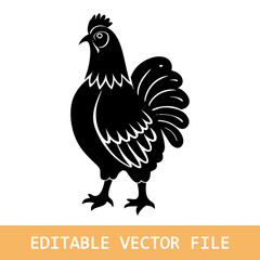 rooster isolated on white background