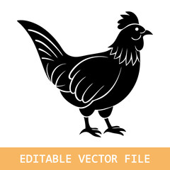 Vector illustration of rooster