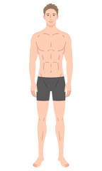 Fototapeta premium 男性 体型 骨格モデル