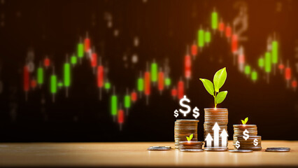 Seedling growing on coin placed on floor. investment concept increase investment financial growth concept