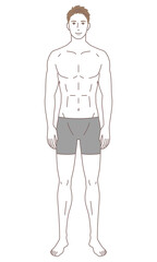 Fototapeta premium 男性 体型 骨格モデル