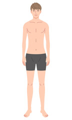 Fototapeta premium 男性 体型 骨格モデル 骨格ウェーブ