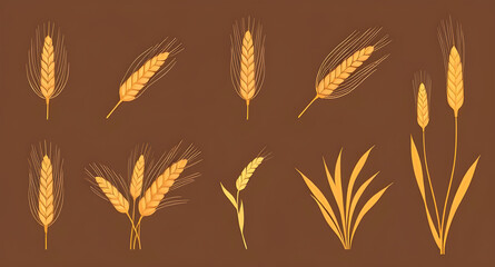 ears of wheat