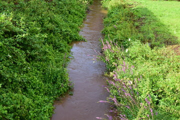 tiny stream becoming a big flooding river after a thunderstorm