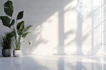 An empty modern room features a large window, highlighting the minimalist interior design with a single potted plant on the sill