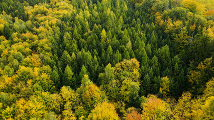 autumn landscape view from above hill forest