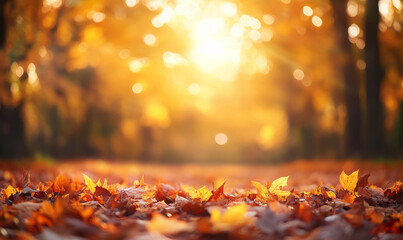 Autumn leaves cover ground, creating warm, golden atmosphere