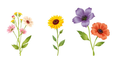 Obraz premium set of colorful flowers