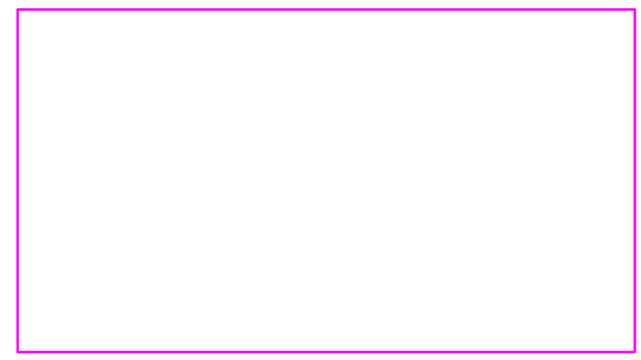 pink rectangle frame basic shape 2