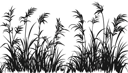 Silhouette Grass Meadow Background
