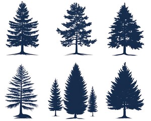 Obraz premium Silhouette Pine Trees Collection