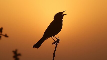 Serene Silhouette of Singing Bird at Sunset: Golden Hour Wildlife Photography