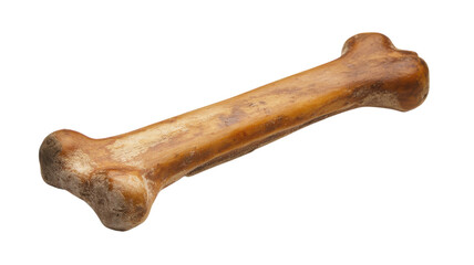 Unique natural dog bone toy for pets available in homes focused on active play and healthy chewing routines