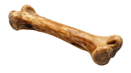 Natural chew toy for dogs lying on a white background showcasing its unique texture and shape