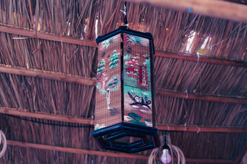 Tet decorations burst with color: peach blossoms, apricot flowers, kumquat trees symbolize prosperity. Red lanterns and parallel sentences bring luck, welcoming the new year.