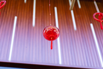 Tet decorations burst with color: peach blossoms, apricot flowers, kumquat trees symbolize prosperity. Red lanterns and parallel sentences bring luck, welcoming the new year.