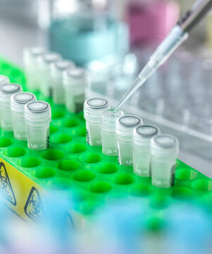 Close-up of a pipette and test tubes in a laboratory setting for pharmaceutical research