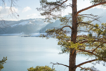 very beautiful landscape with winter nature in the Carpathian Mountains of Romania.