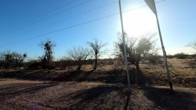 Arizona Driving 0841 Marana Saguaro National Park