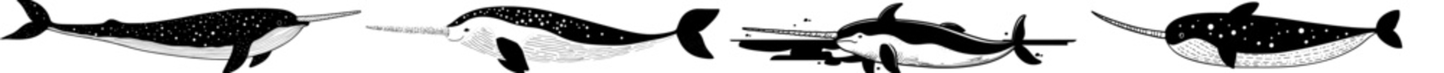 The narwhal is a captivating animal character, depicted as a modern, isolated cartoon unicorn of the sea, boasting a fascinating appearance as a marine mammal with a distinctive long, spiral tusk, © Andrei