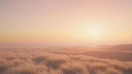 Obraz premium Serene Windswept Coastal Plain at Sunset with Soft Gloomy Light