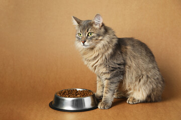 Cute cat near feeding bowl with dry pet food on dark beige background