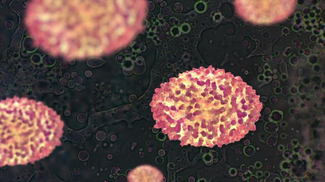 3D background animation of many viruses or pox virus on a background. Bacteria move in space. The idea of pandemic, a worldwide threat to humanity.