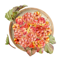 Cloudberry raspberry heap on ceramic plate, green leaves, hand drawn in watercolor, red forest berry. Isolated illustration for restaurant, dessert cafe menu, home preserves, farmers market harvest