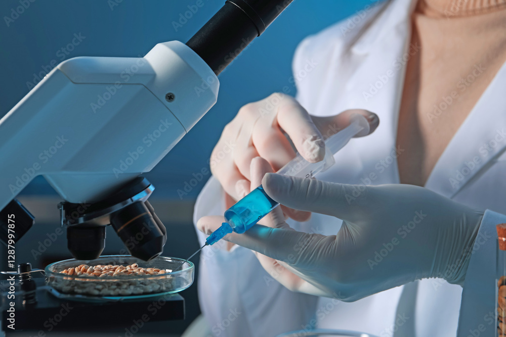 Wall mural GMO concept. Scientist injecting something into wheat grains under microscope in laboratory, closeup