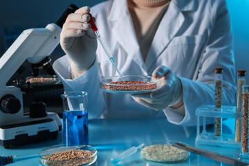 GMO concept. Scientist dripping something onto buckwheat grains at table in laboratory, closeup