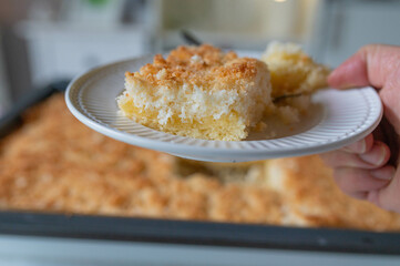 Delicious piece of sponge sheet cake with grated  coconut topping on a plate